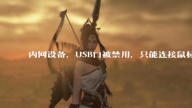 内网设备，USB口被禁用，只能连接鼠标和键盘，有什么办法可以实现数据拷入？